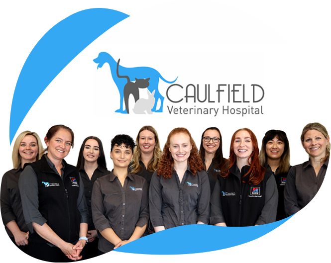 About Us – Caulfield Veterinary Hospital